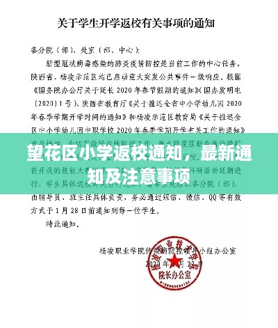 望花區(qū)小學(xué)返校通知，最新通知及注意事項(xiàng)