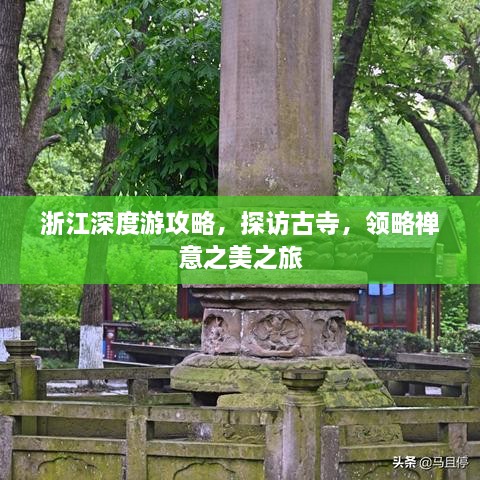 浙江深度游攻略，探訪古寺，領(lǐng)略禪意之美之旅