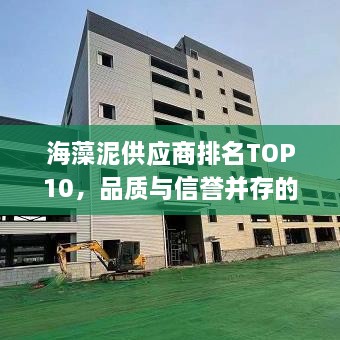 海藻泥供應(yīng)商排名TOP10，品質(zhì)與信譽并存的選擇