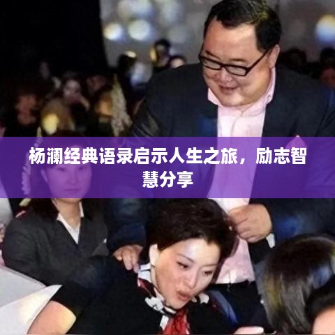 楊瀾經(jīng)典語錄啟示人生之旅，勵志智慧分享