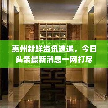 惠州新鮮資訊速遞，今日頭條最新消息一網(wǎng)打盡
