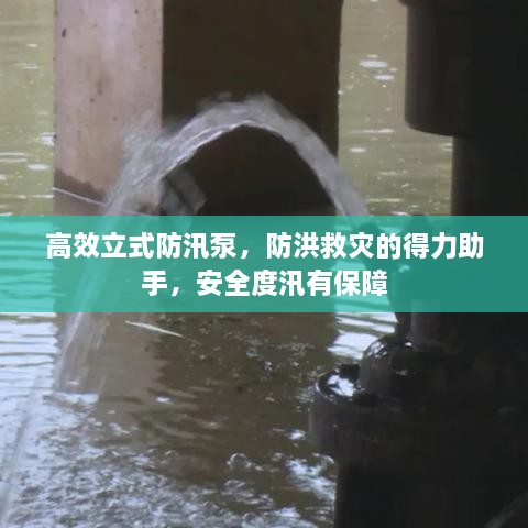 高效立式防汛泵，防洪救災(zāi)的得力助手，安全度汛有保障