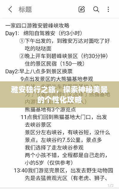 雅安獨(dú)行之旅，探索神秘美景的個(gè)性化攻略