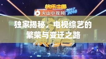 獨(dú)家揭秘，電視綜藝的繁榮與變遷之路