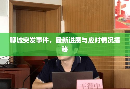 聊城突發(fā)事件，最新進(jìn)展與應(yīng)對(duì)情況揭秘