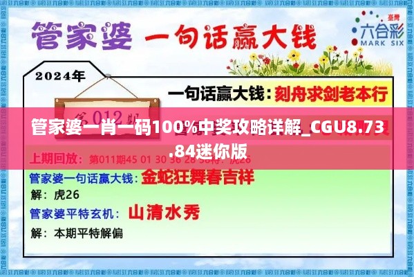 管家婆一肖一碼100%中獎(jiǎng)攻略詳解_CGU8.73.84迷你版