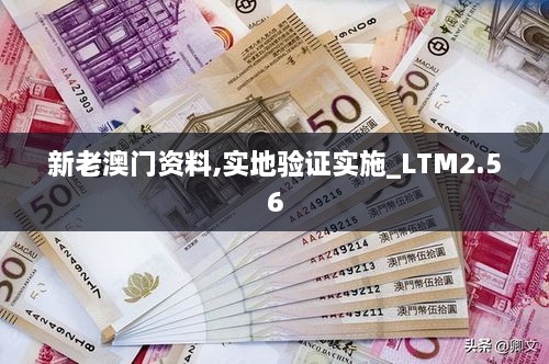 新老澳門資料,實(shí)地驗(yàn)證實(shí)施_LTM2.56