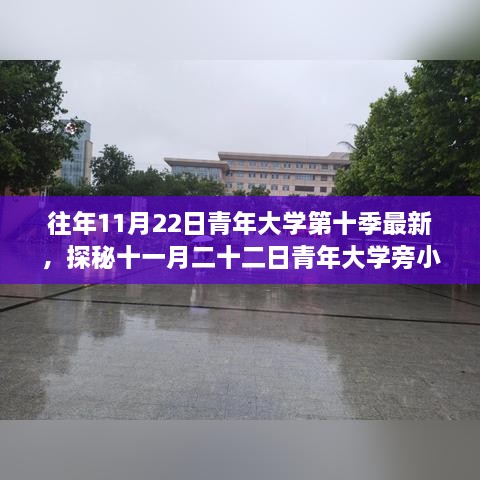 探秘十一月二十二日青年大學(xué)旁小巷的隱藏美食——第十季最新獨(dú)特風(fēng)味小店