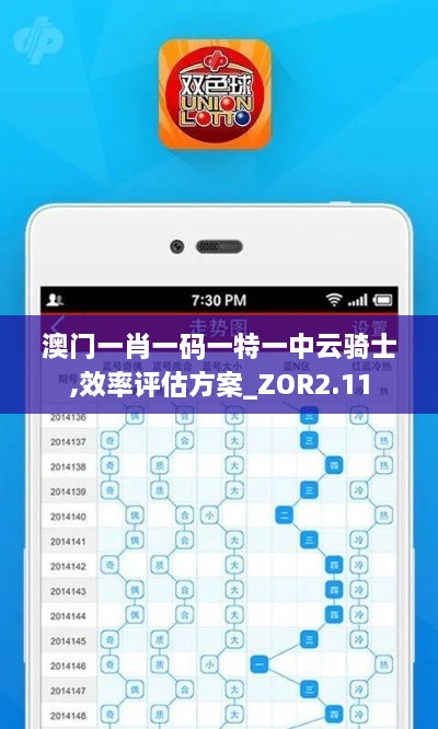 澳門一肖一碼一特一中云騎士,效率評估方案_ZOR2.11