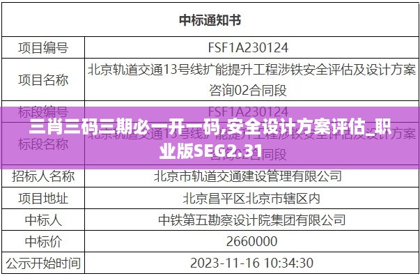 三肖三碼三期必一開(kāi)一碼,安全設(shè)計(jì)方案評(píng)估_職業(yè)版SEG2.31