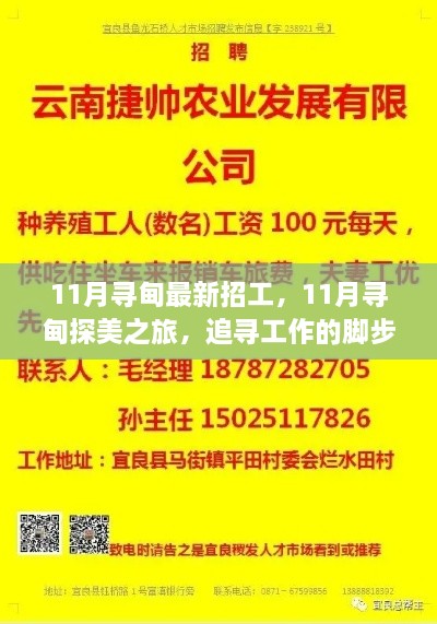 11月尋甸之旅，工作機會與美景的雙重探尋