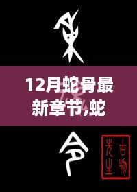 蛇骨之家的溫馨日常，12月新章節(jié)奇遇