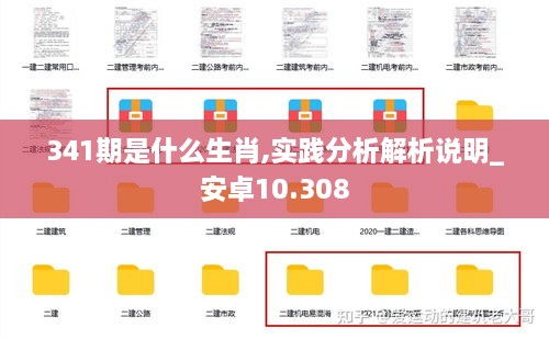 341期是什么生肖,實踐分析解析說明_安卓10.308