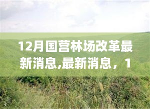 12月國營林場改革動態(tài)深度解析及最新消息