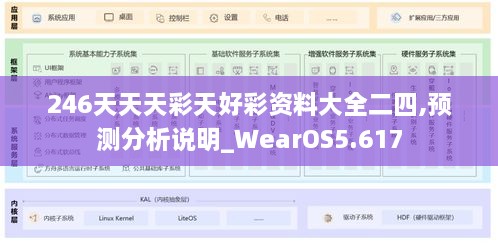 246天天天彩天好彩資料大全二四,預(yù)測分析說明_WearOS5.617