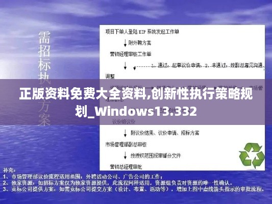 正版資料免費大全資料,創(chuàng)新性執(zhí)行策略規(guī)劃_Windows13.332