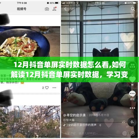 12月抖音單屏實(shí)時(shí)數(shù)據(jù)解析，洞悉變化，自信成就夢(mèng)想之旅！