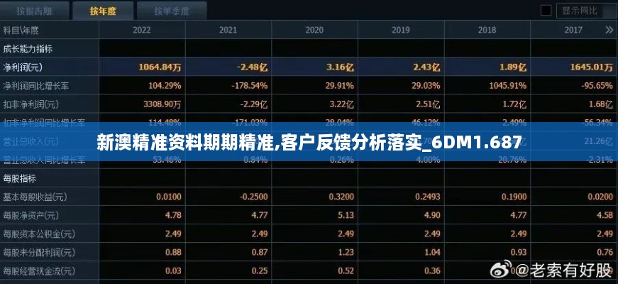 新澳精準資料期期精準,客戶反饋分析落實_6DM1.687