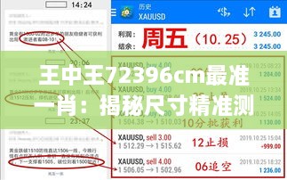 王中王72396cm最準一肖：揭秘尺寸精準測量的行業(yè)標桿性能