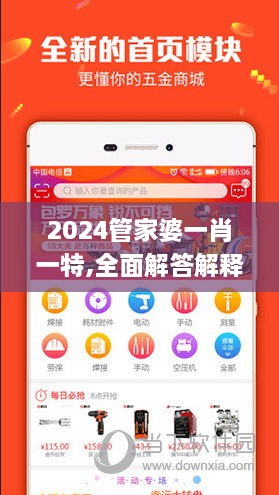 2024管家婆一肖一特,全面解答解釋落實_bundle10.784