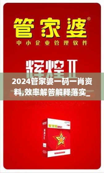 2024管家婆一碼一肖資料,效率解答解釋落實_升級版2.967