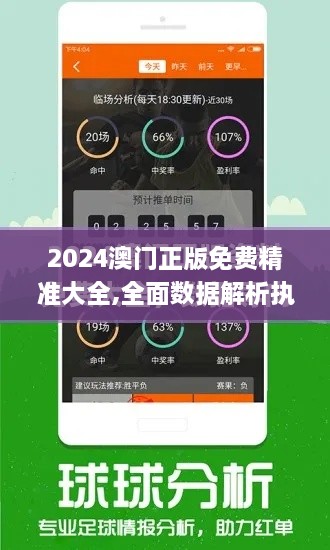 2024澳門正版免費精準大全,全面數(shù)據(jù)解析執(zhí)行_開發(fā)版6.486