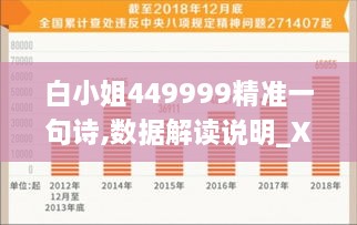 白小姐449999精準(zhǔn)一句詩,數(shù)據(jù)解讀說明_XR1.301