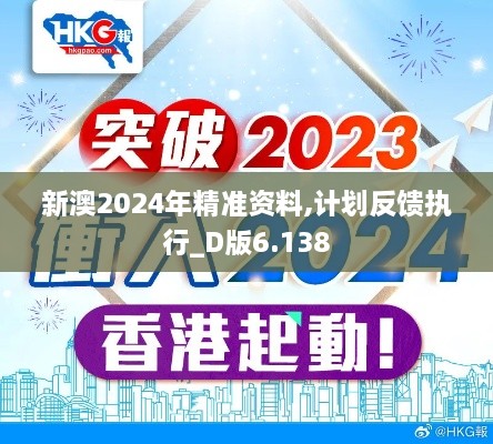 新澳2024年精準(zhǔn)資料,計(jì)劃反饋執(zhí)行_D版6.138