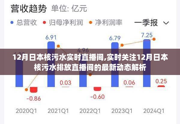 2025年1月1日 第24頁