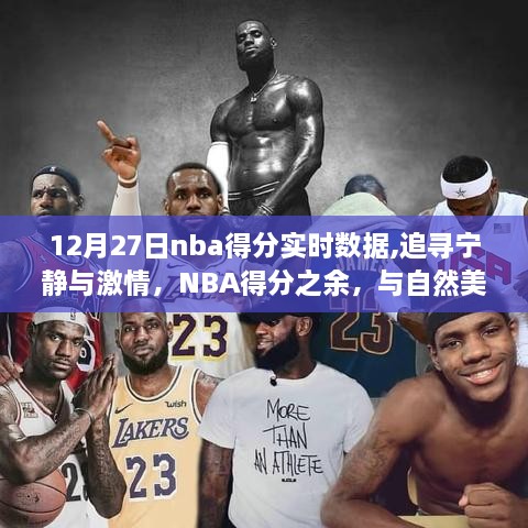 NBA得分實時數(shù)據(jù)與寧靜激情之旅，自然美景的邂逅體驗