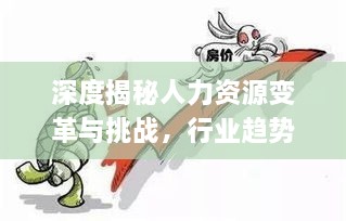 深度揭秘人力資源變革與挑戰(zhàn)，行業(yè)趨勢下的挑戰(zhàn)與應(yīng)對之道