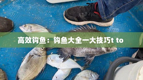 高效鉤魚：鉤魚大全一大技巧t to 