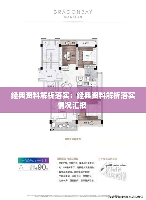 經(jīng)典資料解析落實：經(jīng)典資料解析落實情況匯報 