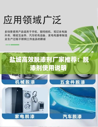 鹽城高效脫漆劑廠家推薦：脫漆劑使用說明 