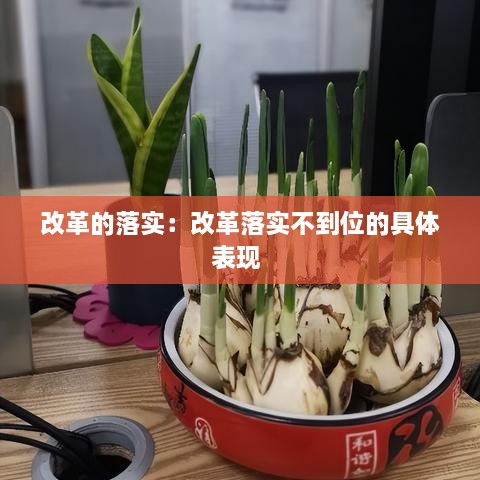 改革的落實(shí)：改革落實(shí)不到位的具體表現(xiàn) 