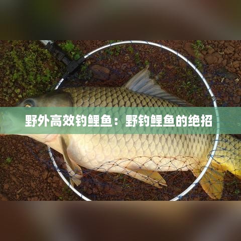 雍容雅步