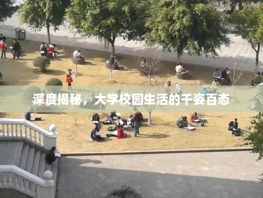 深度揭秘，大學校園生活的千姿百態(tài)