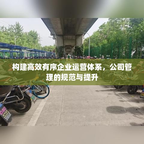 構建高效有序企業(yè)運營體系，公司管理的規(guī)范與提升