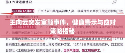 王向云突發(fā)室顫事件，健康警示與應(yīng)對(duì)策略揭秘