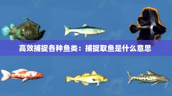 高效捕捉各種魚(yú)類：捕捉取魚(yú)是什么意思 