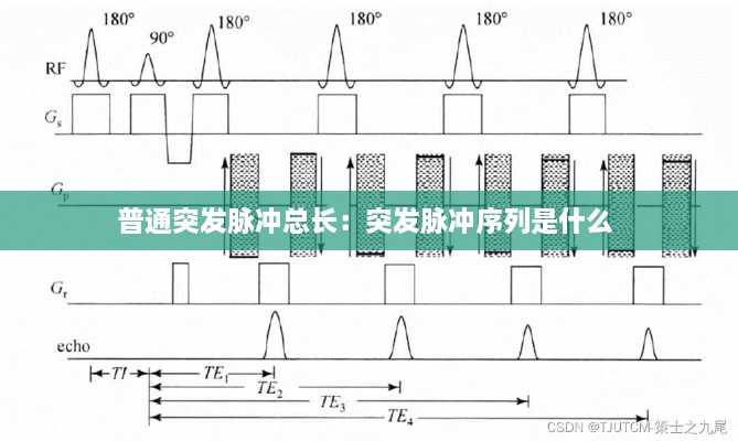 普通突發(fā)脈沖總長(zhǎng)：突發(fā)脈沖序列是什么 