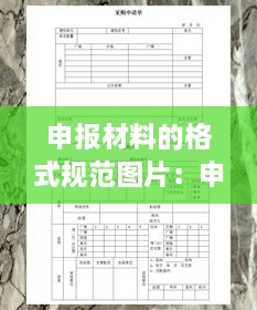 申報(bào)材料的格式規(guī)范圖片：申報(bào)材料表格 