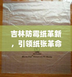 吉林防霉紙革新，引領(lǐng)紙張革命風(fēng)潮