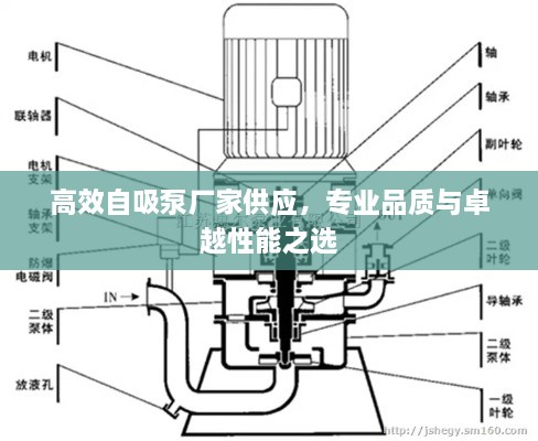 高效自吸泵廠家供應(yīng)，專業(yè)品質(zhì)與卓越性能之選