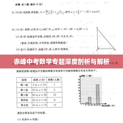 赤峰中考數(shù)學專題深度剖析與解析