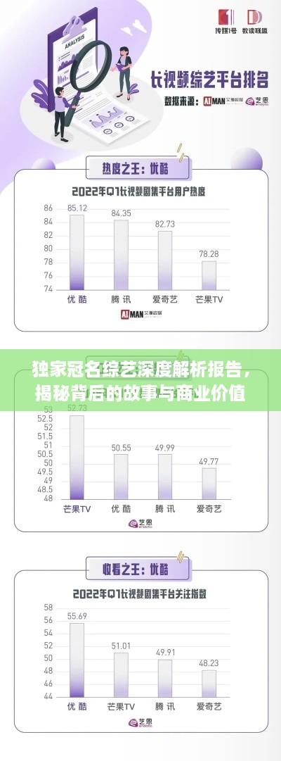 獨(dú)家冠名綜藝深度解析報告，揭秘背后的故事與商業(yè)價值