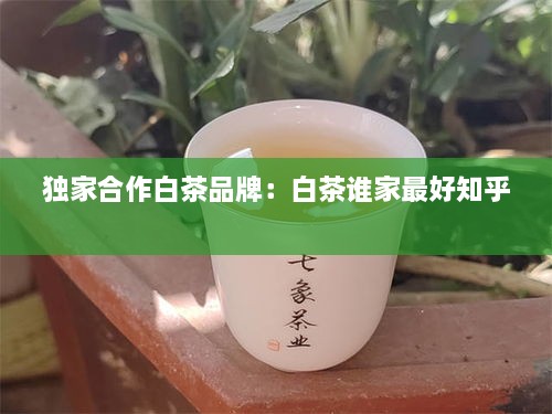 獨家合作白茶品牌：白茶誰家最好知乎 