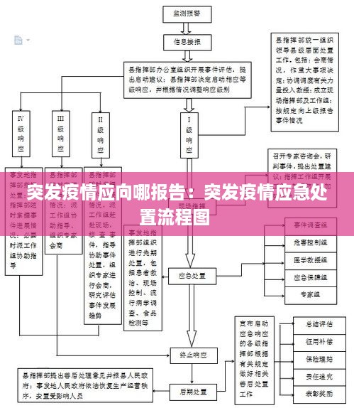 突發(fā)疫情應(yīng)向哪報(bào)告：突發(fā)疫情應(yīng)急處置流程圖 