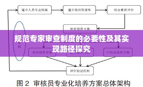 規(guī)范專(zhuān)家審查制度的必要性及其實(shí)現(xiàn)路徑探究