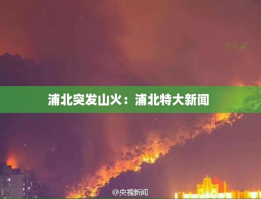 浦北突發(fā)山火：浦北特大新聞 